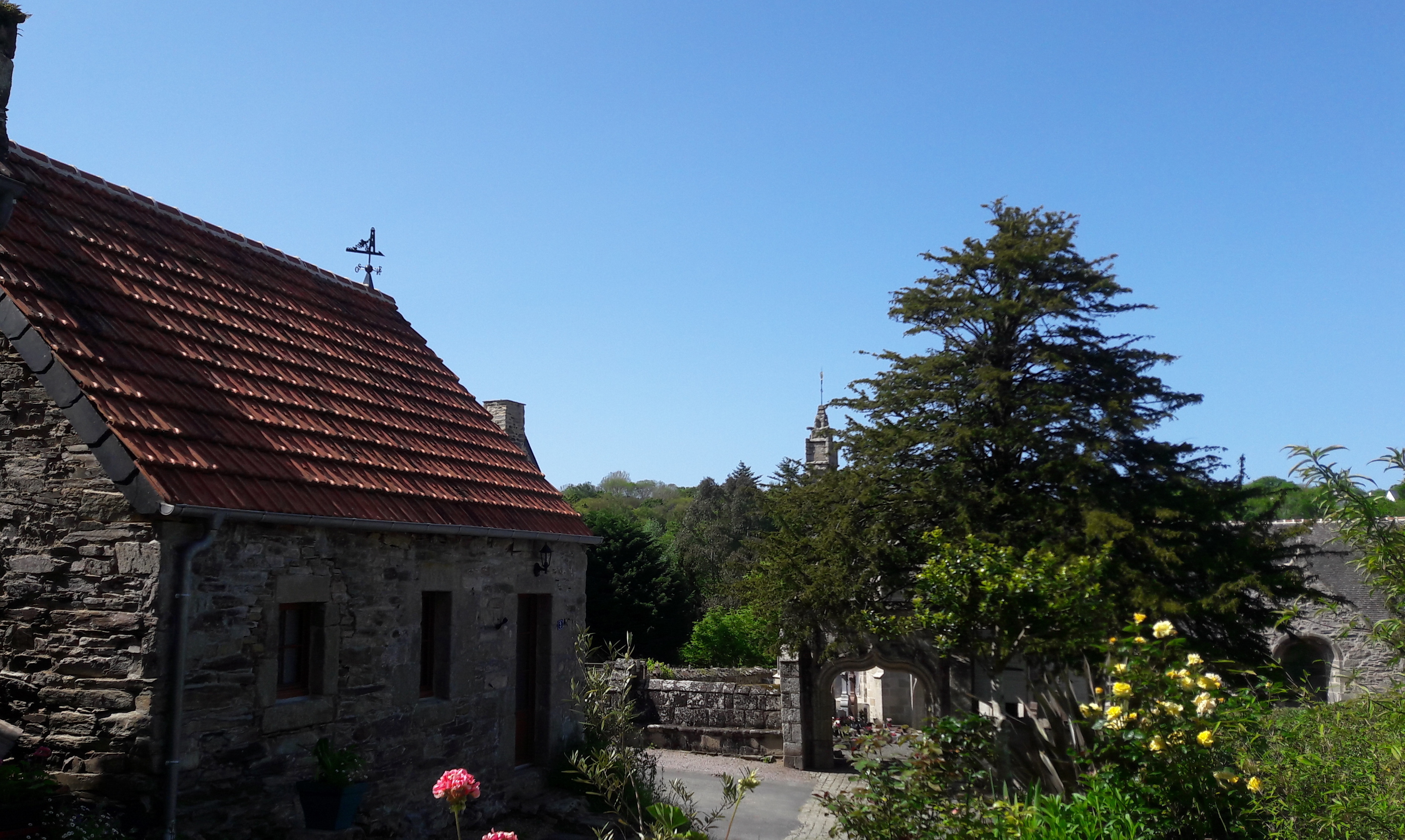 Free Website Template by FreeHTML5.co